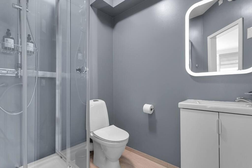 Cozy Studio In Рейкявик Екстериор снимка